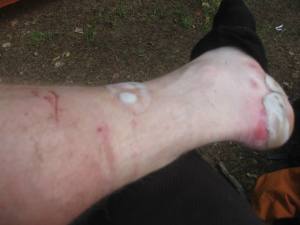 983980_10152945180640343_1455576267_n