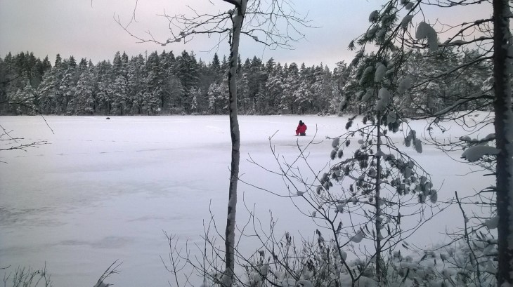 WP_20141228_14_33_19_Pro