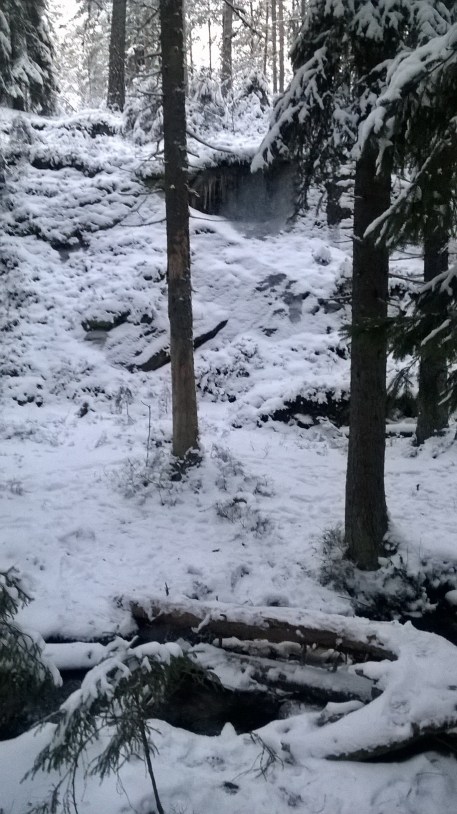 WP_20141228_15_04_03_Pro