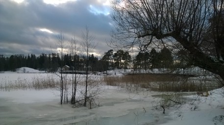 WP_20150113_13_12_11_Pro