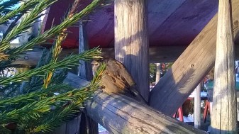 WP_20150113_14_29_24_Pro