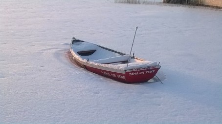 WP_20150113_14_36_33_Pro