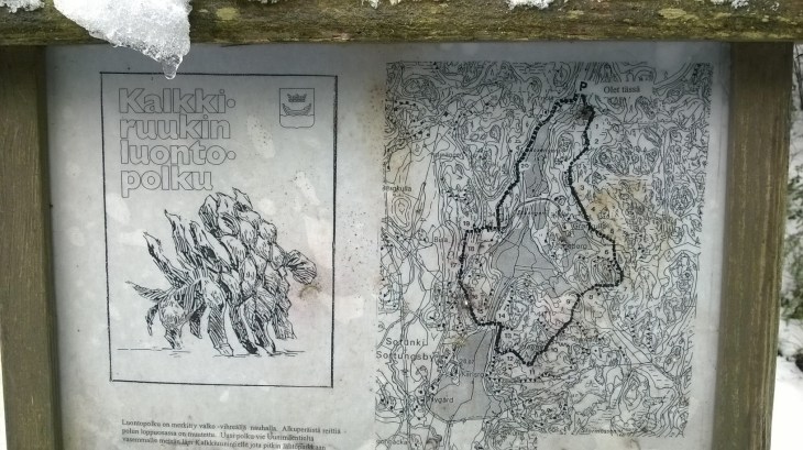 WP_20150205_11_13_54_Pro