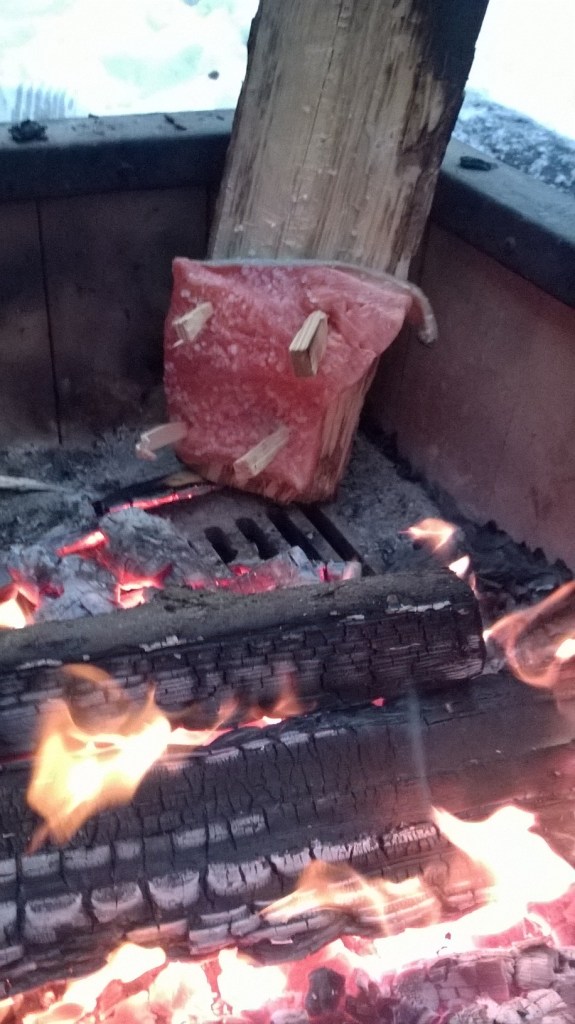 WP_20150205_16_20_25_Pro