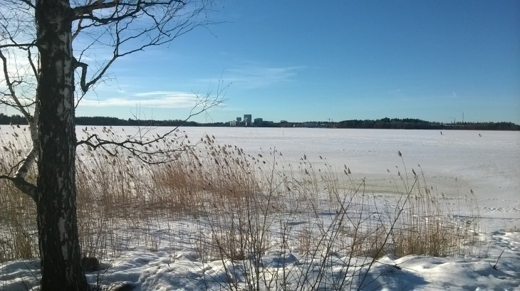 WP_20150210_11_13_11_Pro