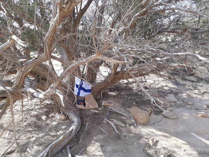 53285527_10161539205740343_3491313901998440448_n