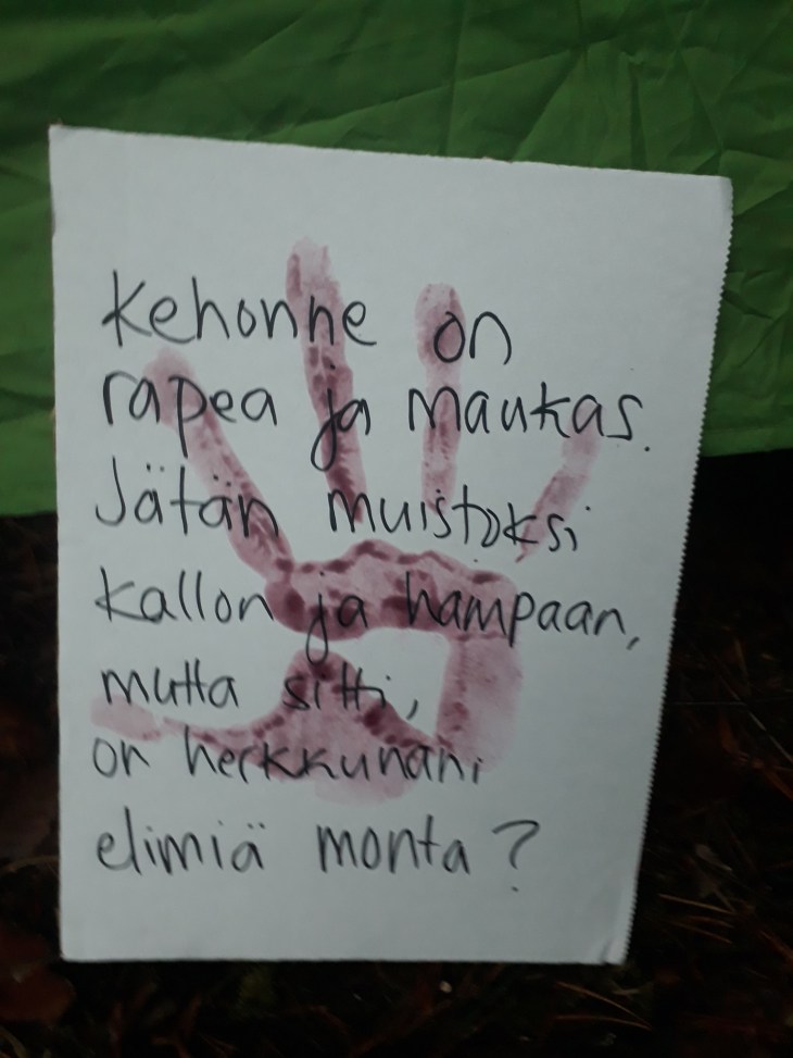 74444626_10162579286235343_2580654868150616064_o_10162579286220343